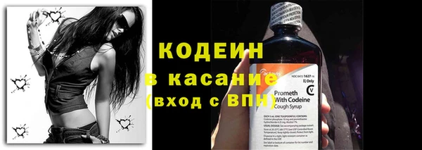 стаф Арсеньев