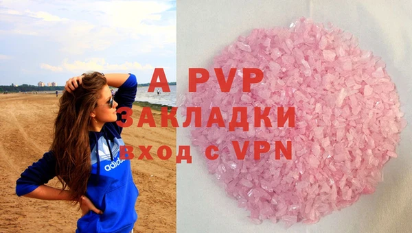 стаф Арсеньев