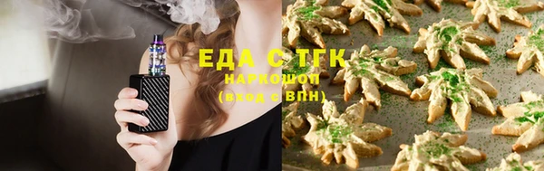стаф Арсеньев